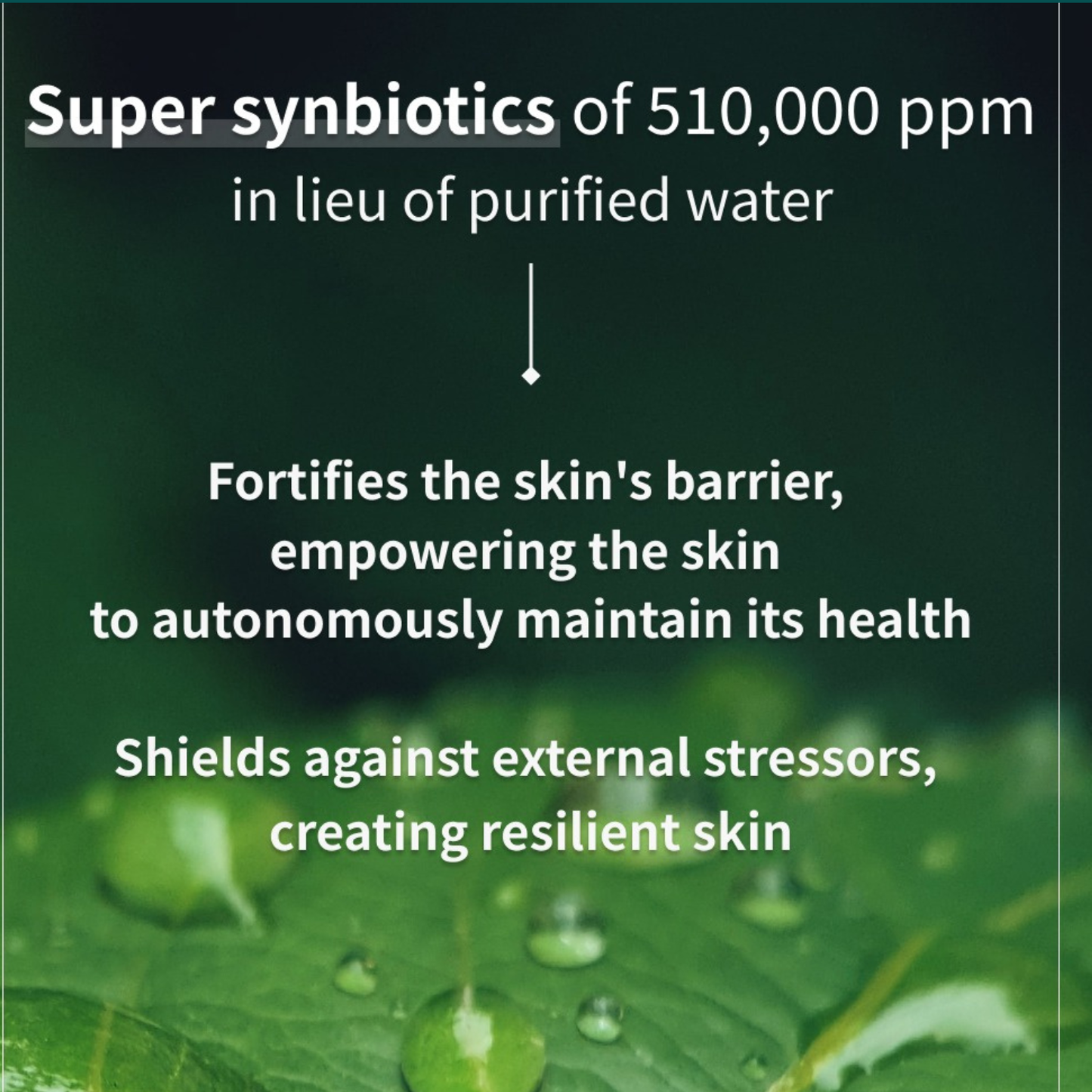 [ PLAN de G ] Synbiotic Luxe Complete Serum 50 ml
